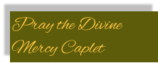 Pray the Divine Mercy Caplet