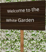 Welcome to the White Garden