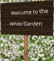 Welcome to the White Garden