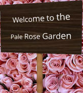 Welcome to the Pale Rose Garden