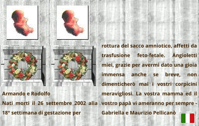 Armando e Rodolfo Nati morti il 26 settembre 2002 alla 18° settimana di gestazione per  rottura del sacco amniotico, affetti da trasfusione feto-fetale. Angioletti miei, grazie per avermi dato una gioia immensa anche se breve, non dimenticherò mai i vostri corpicini meravigliosi. La vostra mamma ed il vostro papà vi ameranno per sempre - Gabriella e Maurizio Pellicanò