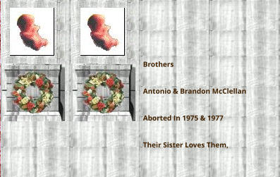 Armando e Rodolfo Nati morti il 26 settembre 2002 alla 18° settimana di gestazione per  rottura del sacco amniotico, affetti da trasfusione feto-fetale. Angioletti miei, grazie per avermi dato una gioia immensa anche se breve, non dimenticherò mai i vostri corpicini meravigliosi. La vostra mamma ed il vostro papà vi ameranno per sempre - Gabriella e Maurizio Pellicanò  Brothers  Antonio & Brandon McClellan  Aborted In 1975 & 1977  Their Sister Loves Them,