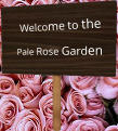 Welcome to the Pale Rose Garden