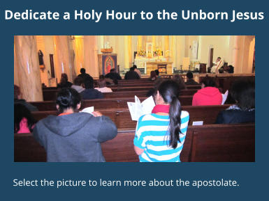 Dedicate a Holy Hour to the Unborn Jesus Select the picture to learn more about the apostolate.