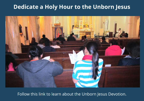 Dedicate a Holy Hour to the Unborn Jesus Follow this link to learn about the Unborn Jesus Devotion.