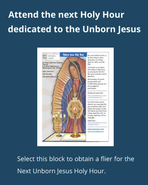 Attend the next Holy Hour  Select this block to obtain a flier for the Next Unborn Jesus Holy Hour. dedicated to the Unborn Jesus
