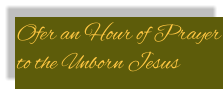 Ofer an Hour of Prayer to the Unborn Jesus