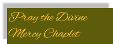 Pray the Divine Mercy Chaplet