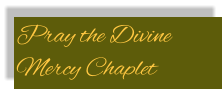 Pray the Divine Mercy Chaplet