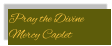 Pray the Divine Mercy Caplet