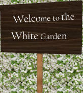 Welcome to the White Garden