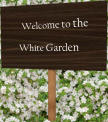Welcome to the White Garden
