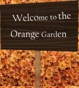 Welcome to the Orange Garden