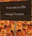 Welcome to the Orange Garden