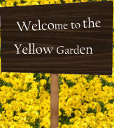 Welcome to the Yellow Garden