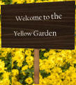 Welcome to the Yellow Garden