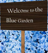 Welcome to the Blue Garden