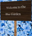 Welcome to the Blue Garden