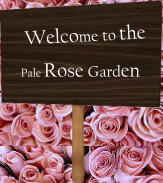 Welcome to the Pale Rose Garden