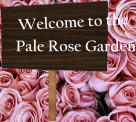 Welcome to the Pale Rose Garden