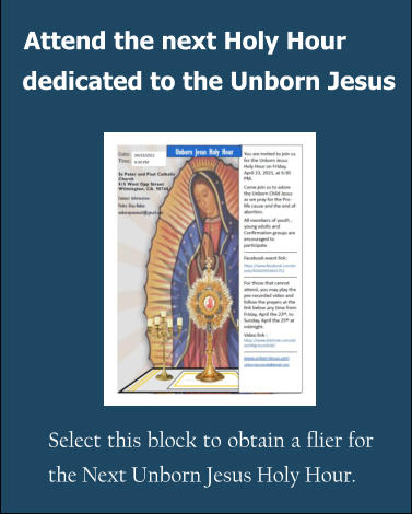 Attend the next Holy Hour  Select this block to obtain a flier for the Next Unborn Jesus Holy Hour. dedicated to the Unborn Jesus